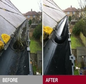 Gutter cleaning