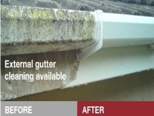Gutter cleaning 2